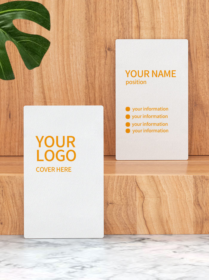 高端大气商务名片样机