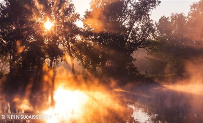 阳光照射湖面风景高清图