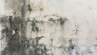 合成所需地面纹理