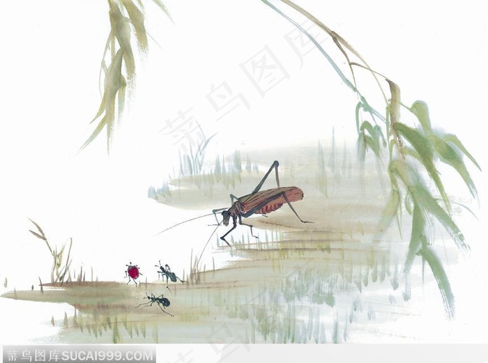 水墨画蚂蚱南瓜