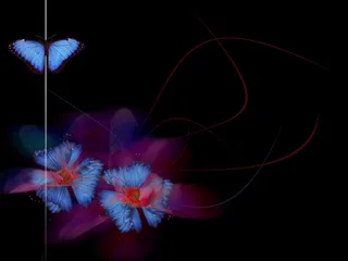 图片素材背景光影艺术