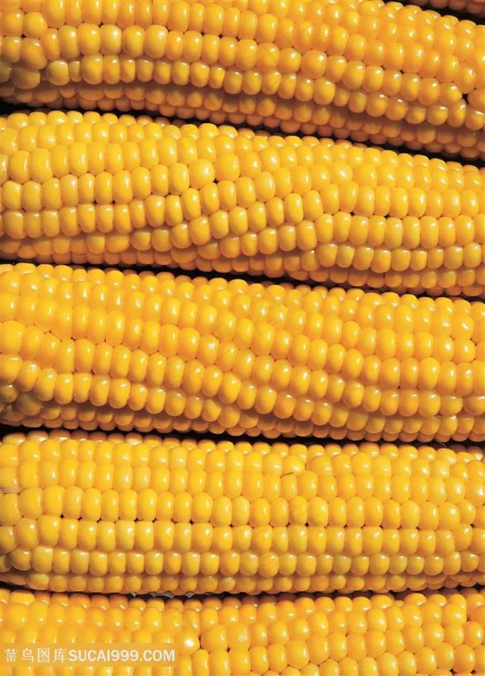 素食玉米图片