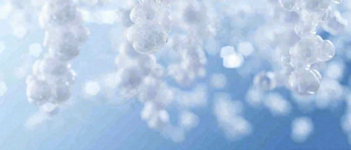 冬天冰枝冰冷枝叶雪球，小雪大雪冬至(1680x720)