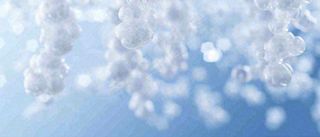 冬天冰枝冰冷枝叶雪球，小雪大雪冬至