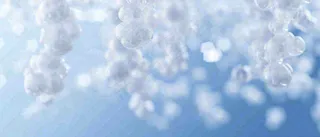 冬天冰枝冰冷枝叶雪球，小雪大雪冬至