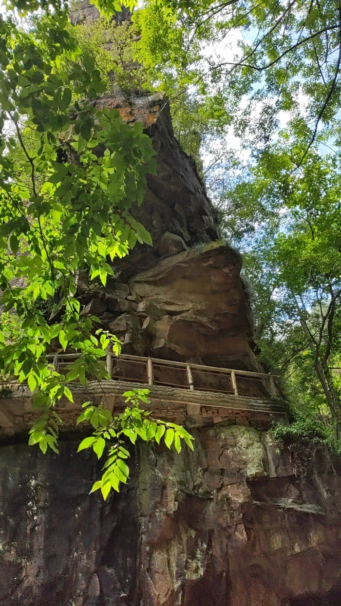 名山树木背景图