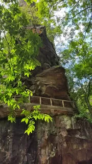 名山树木背景图 名山树木背景图
