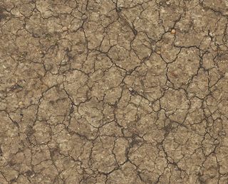 皲裂地面纹理图