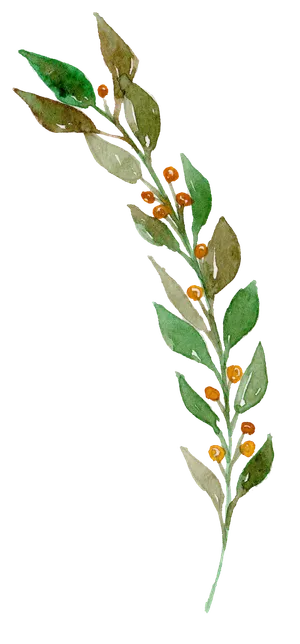 唯美森系手绘水彩花朵 免抠