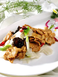 CXC02645莲菜炒肉片32 CXC02645莲菜炒肉片32