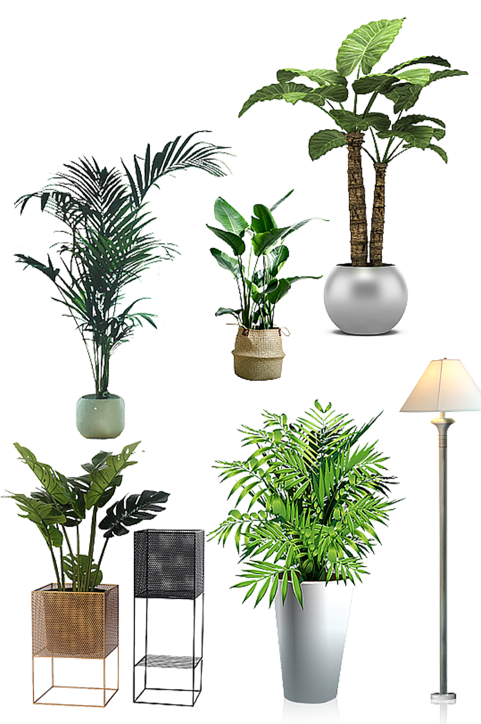 装饰素材绿色植物免扣