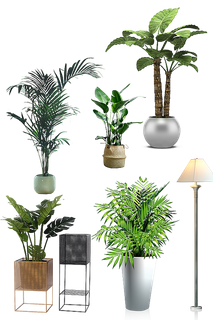 装饰素材绿色植物免扣