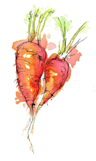 胡萝卜卡通兔年