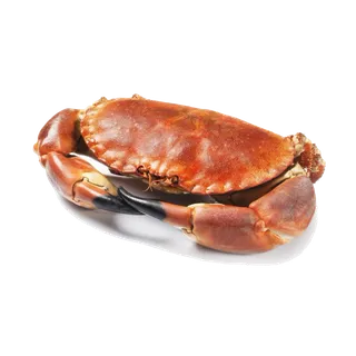 螃蟹(38)海鲜超市商品红酒白底图免抠实物摄影png格式图片透明底