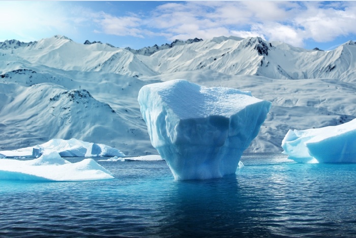 冬天白色背景风景