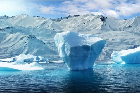 冬天白色背景风景