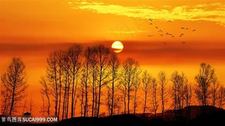 夕阳下的唯美黄昏剪影