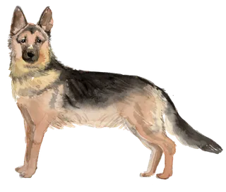 狗狗水彩画插画免扣素材可爱宠物狗