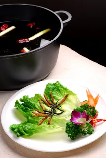 火锅麻辣烫锅底川菜虫草锅底