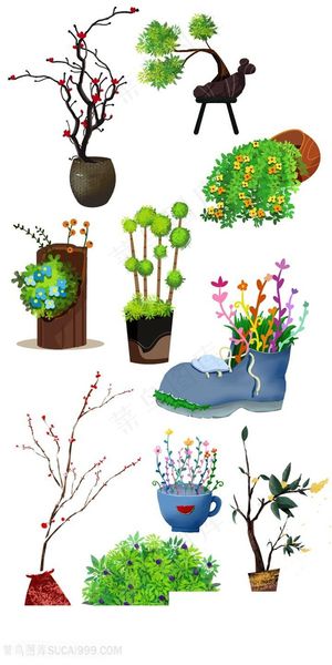 创意植物大全花卉大全盆栽观景 创意植物大全花卉大全盆栽观景