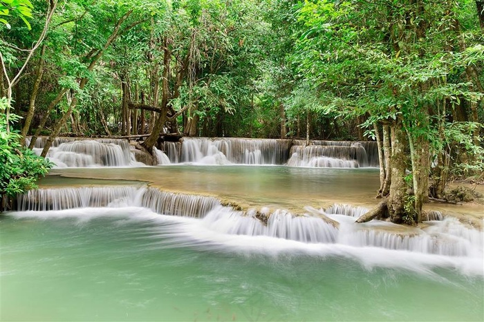 树林丛里的瀑布风景图片