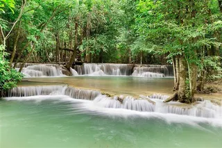 树林丛里的瀑布风景图片
