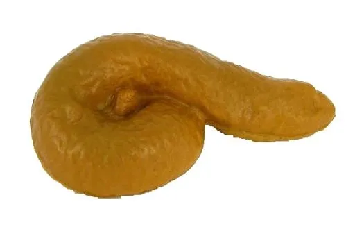 大便 PNG免抠(609x389)