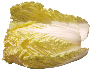 娃娃菜免抠摄影元素素材 