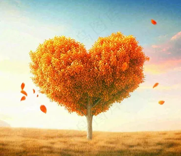 秋天爱心树木橙红色落叶蓝天温馨