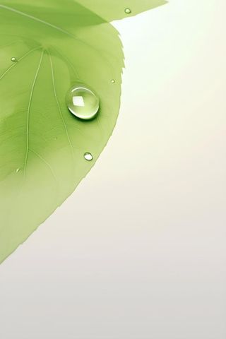 简约清新树叶纹理背景