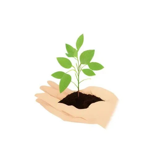 手捧树苗免抠(2048x2048)