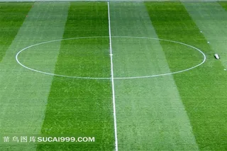 足球场草坪特写