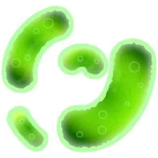 细菌 PNG免抠(320x320)