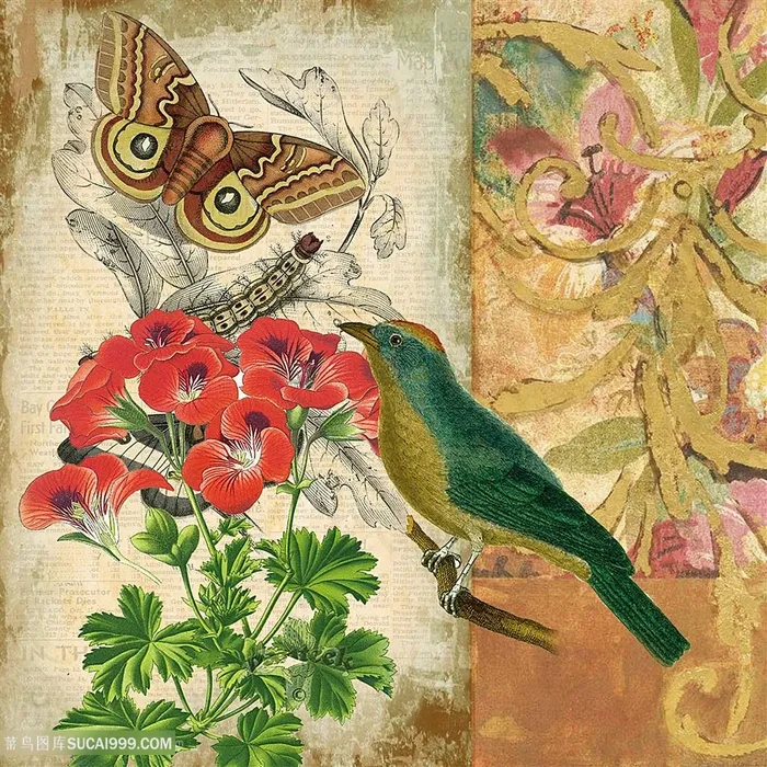 欧式花鸟装饰画