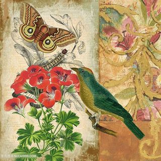 欧式花鸟装饰画