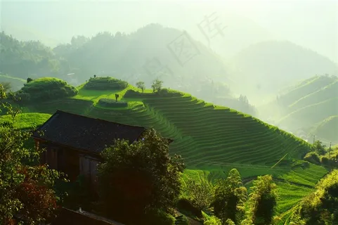 茂盛的梯田图片 茂盛的梯田图片