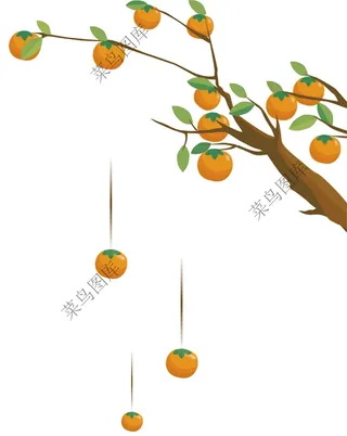 沃柑，橘子，掉落高清图