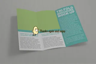 三折页宣传样机