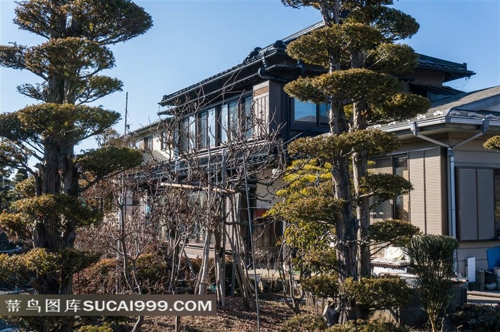 日本旅游风光别墅景观