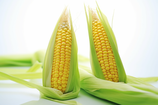 刨开的玉米摄影图