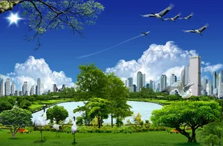 韩式自然背景 (102)