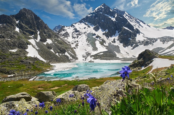 湖水雪山和草地