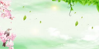 绿色背景 绿色展板背景