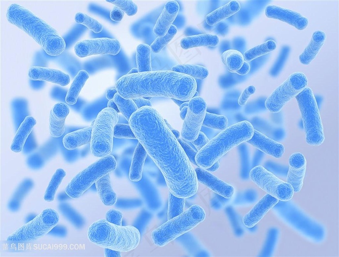 细胞细菌生物高清图