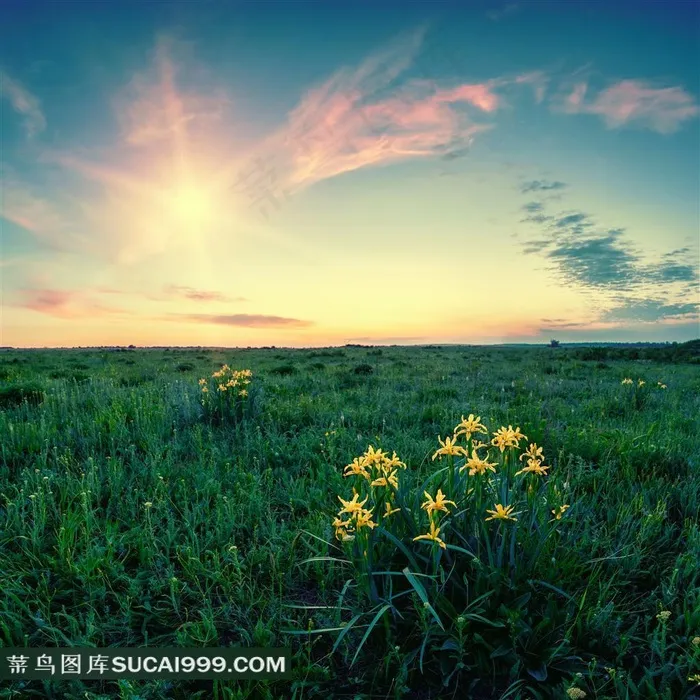 夕阳西下时的草原自然景观