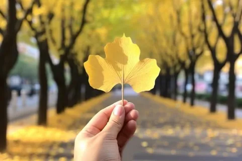 手拿着一片黄叶子秋天背景