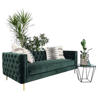 北欧沙发带植物装饰-PNG素材