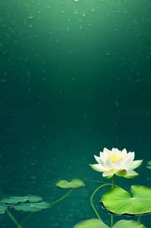 中国风传统绿色莲花简约背景