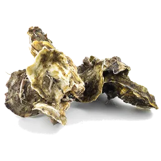 牡蛎海鲜超市商品红酒白底图免抠实物摄影png格式图片透明底