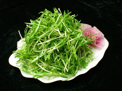 竹叶青    竹叶青
